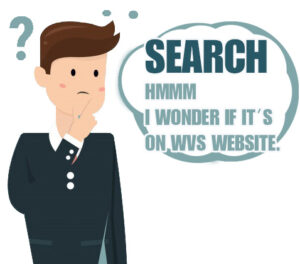 Website Search